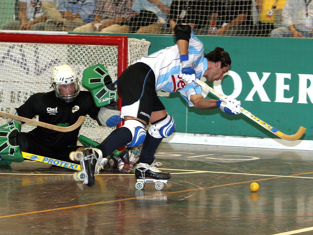 File:Argentin player during 2007 rink hockey world championship.jpg -  Wikimedia Commons