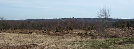 King's Standing, Ashdown Forest
