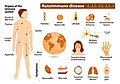Autoimmune disease.jpg