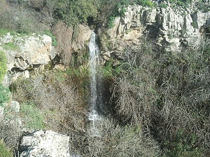 איך מגיעים באמצעות תחבורה ציבורית  לנחל עיט? - מידע על המקום