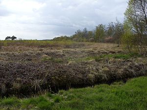 "Barkenkuhlen im Ipweger Moor" nature reserve