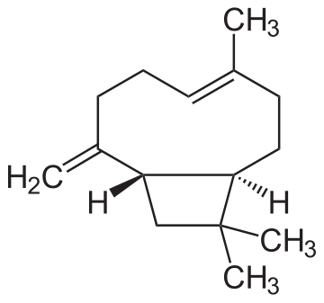 Caryophyllene