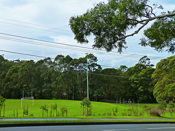 Bicentennial Park, Yanko Road