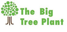 Big Tree Plant.jpg