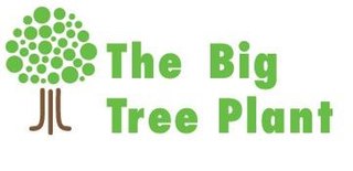 The Big Tree Plant British government tree planting campaign from 2011 to 2015