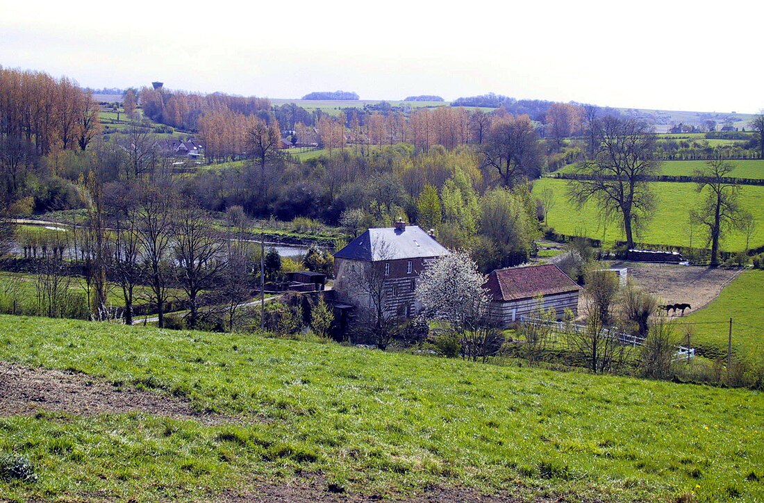 بومی (شهر)