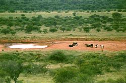 Poço d'água em Serowe