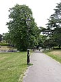 Branksome, lamp post - geograph.org.uk - 1341593.jpg