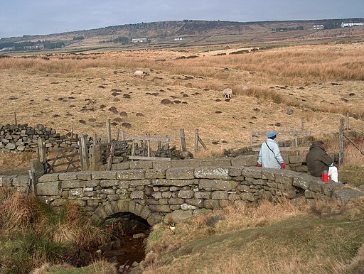 Bridge on the Calderdale Way - geograph.org.uk - 1748594