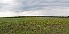 Buena Vista Prairie Chicken Meadow.jpg 