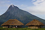 Vaktpostering i Virunga nationalpark, med Mikeno i bakgrunden.