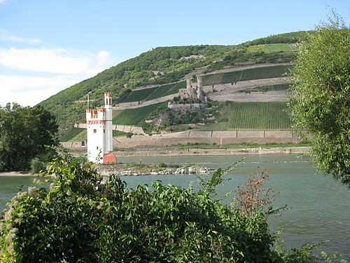 The castle with the Binger Mäuseturm in front