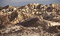 CA - VALLACITO VALLEY CAMPSITE (1-6-2017) anza-borrego state park, san diego co, ca -20 watercolor (32494370506).jpg