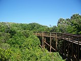 CNS Turtle Mound boardwalk03.jpg