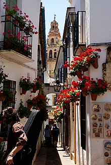 Calleja de las Flores, abajo.JPG