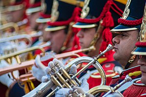 Mounted Grenadiers Regiment