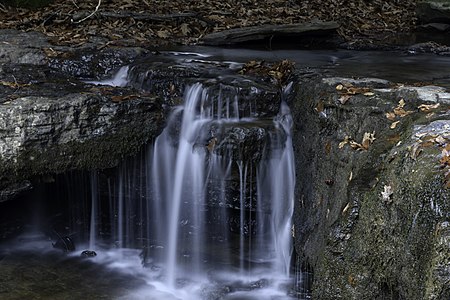 Camp Creek State Park - Marsh Fork Falls WV