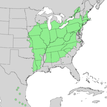 Carte de l'aire de répartition de Carya ovata 1.png