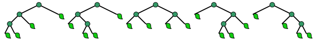 Five binary trees on three vertices, an example of Catalan numbers.
