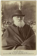 Thumbnail for File:Charles Darwin photograph by Elliott and Fry, 29 November, 1881.jpg