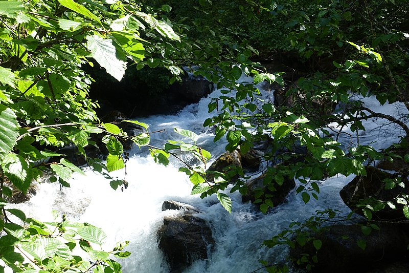 File:Chilkoot Trail (dcd8ba89-326b-4466-a814-aaa7c51b8b63).jpg