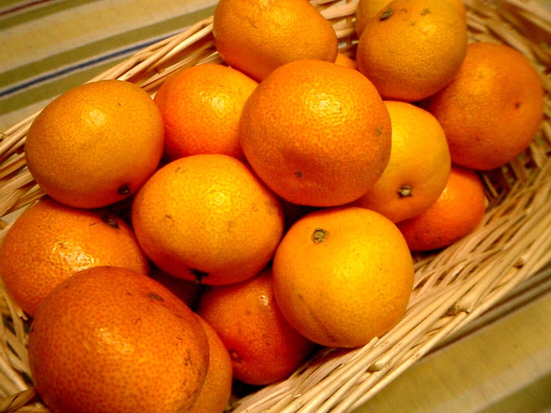 Satsuma (Frucht)