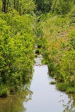 Coal Creek (Susquehanna River tributary)