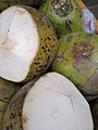 Coconuts in Liwan 20220321-02.jpg
