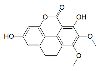 Coeloginin Chemical compound