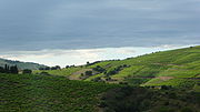 Miniatura per Vi de Banyuls