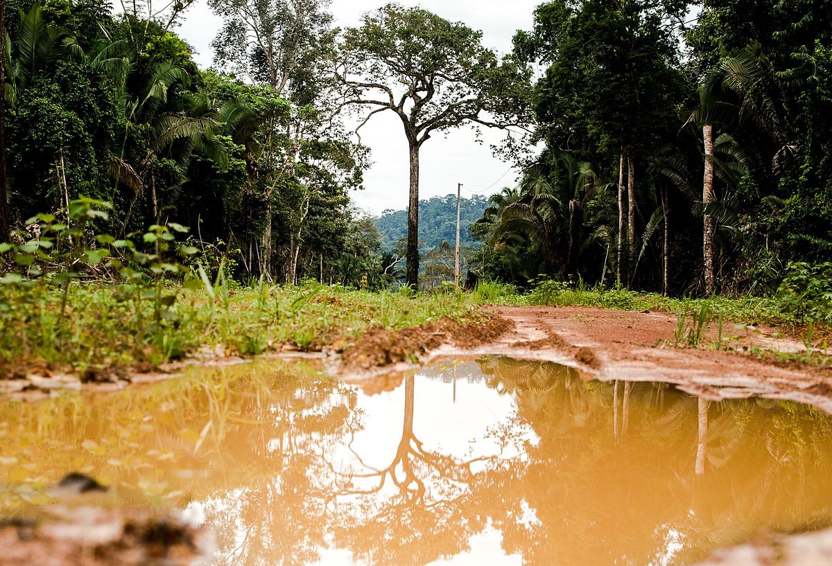 Conheça Colniza, o município que mais desmata no Brasil