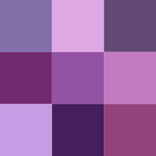 <span class="mw-page-title-main">Shades of purple</span> Variations of the color purple