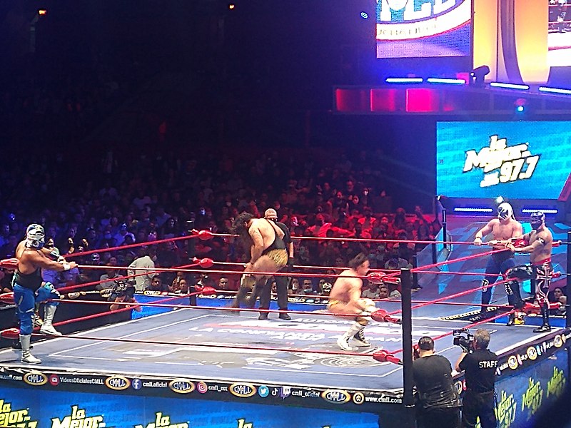 File:Combate en una función de lucha libre en la Arena México 26.jpg