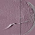 Comet Jacques Approaches the Sun (video) (14710024276).jpg