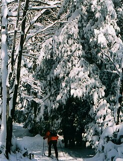 Kooser State Park