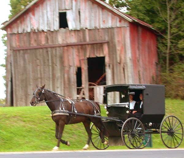 Amish couple in horse-driven buggy in rural Holmes County, Ohio, September 2004