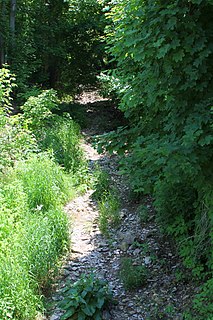 Dalmatia Creek tributary of the Susquehanna River in Northumberland County, Pennsylvania