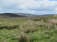 Daw's Moss - geograph.org.uk - 3685021.jpg