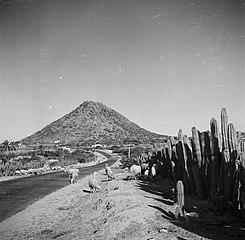 De Hooiberg op Aruba, Bestanddeelnr 252-7934.jpg