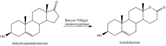 Baeyer Villiger Oxidation Wikipedia