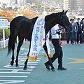 2024年1月28日 (日) 00:07時点における版のサムネイル