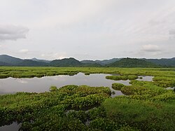 Diplai Beel lake