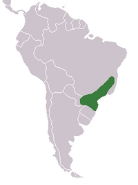 Area de distribución en verde repartida entre Arxentina, Brasil e Paraguai.