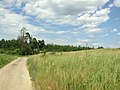 Čeština: Příroda ve Středočeském kraji - v okolí Dobříše, Voznice, Kytína a Mníšku pod Brdy, tedy v podhůří Brd nápověda English: Nature near Mníšek pod Brdy, Voznice, Kytín and Dobříš - near Brdy mountains in Central Bohemian region, CZ help