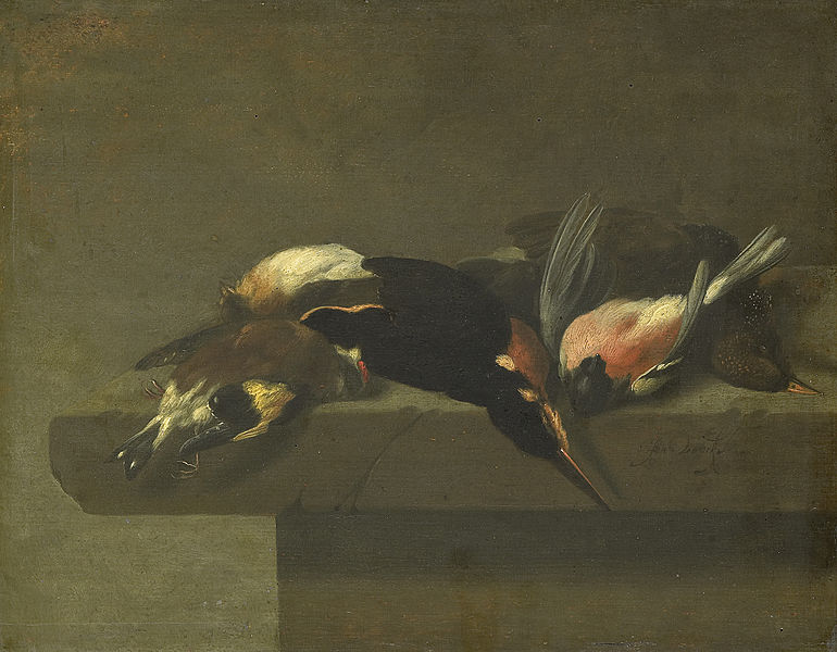 File:Dode vogels Rijksmuseum SK-A-1344.jpeg