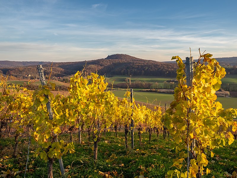 File:Donnersdorfer Falkenberg Vollburg-20201115-RM-154559.jpg