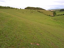 Steeple Langford Down