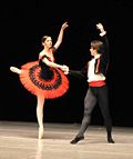 Miniatura per Don Quixot (ballet)