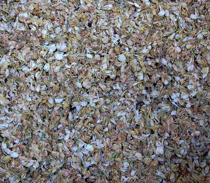 File:Dried flowers of jasmine.jpg