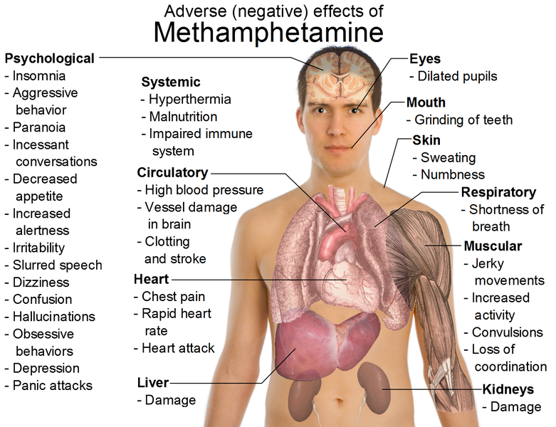 File:Effects of metamphetamine.png